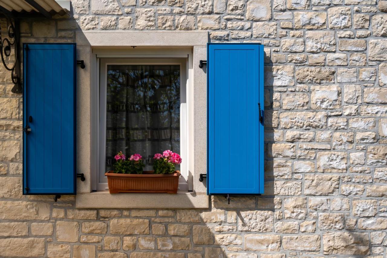 Villa Daulos Novigrad Istria Exterior foto