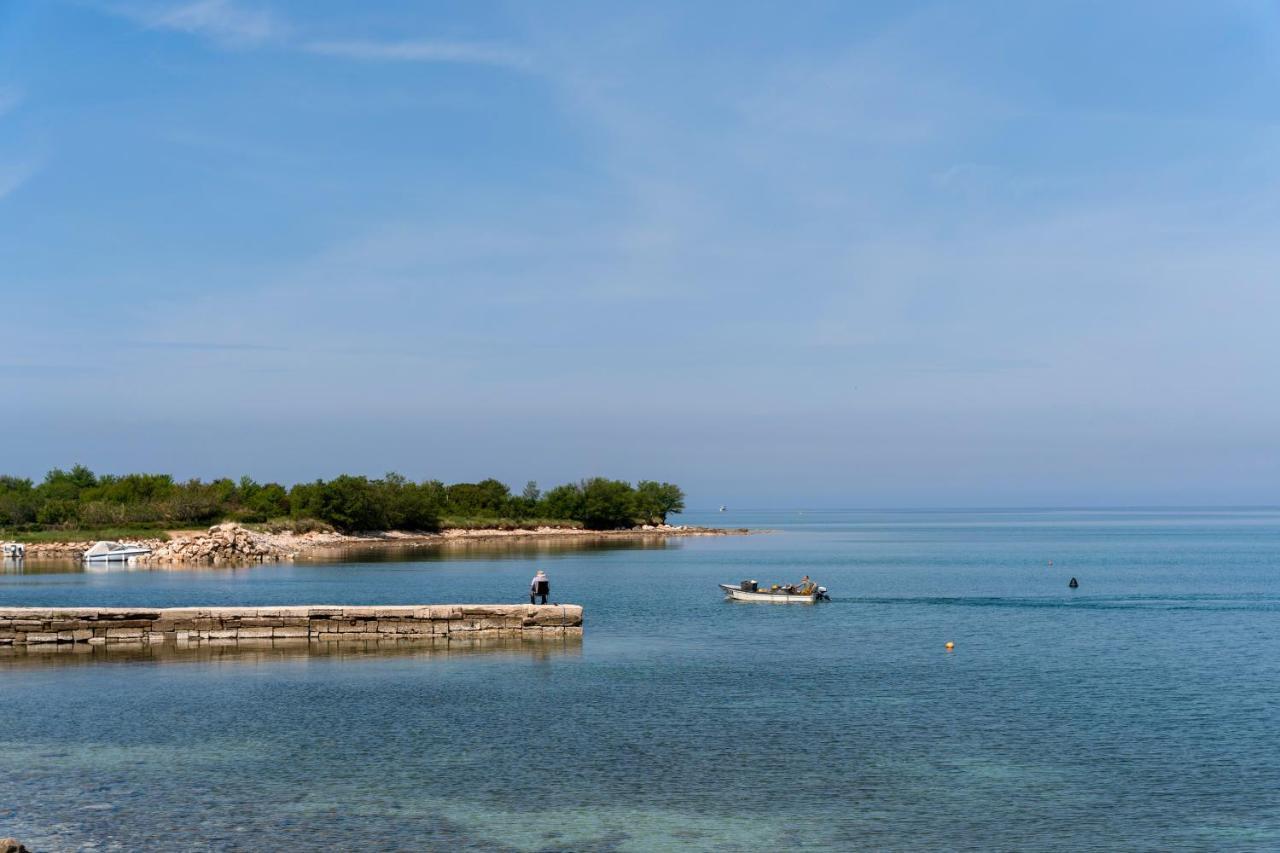 Villa Daulos Novigrad Istria Exterior foto