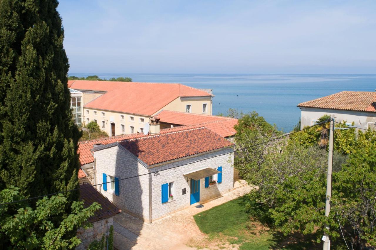 Villa Daulos Novigrad Istria Exterior foto