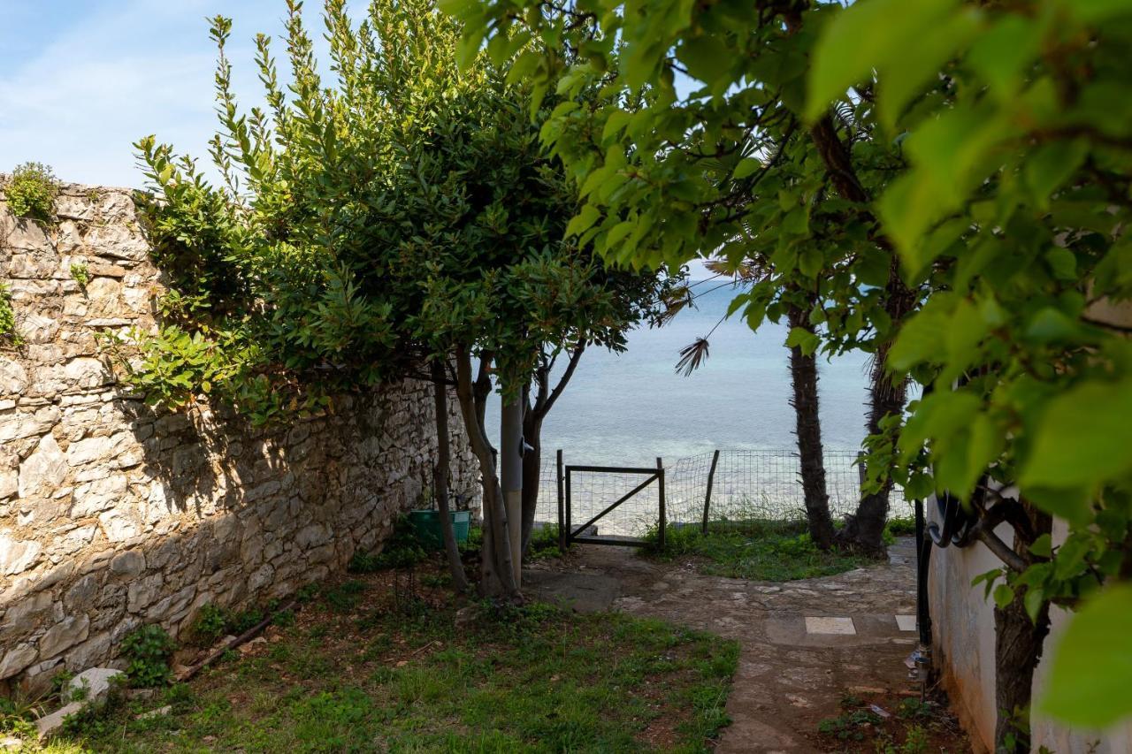 Villa Daulos Novigrad Istria Exterior foto